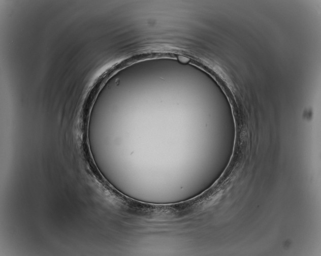 X0000100190979200806061254