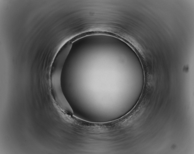 X0000100190980200806061254