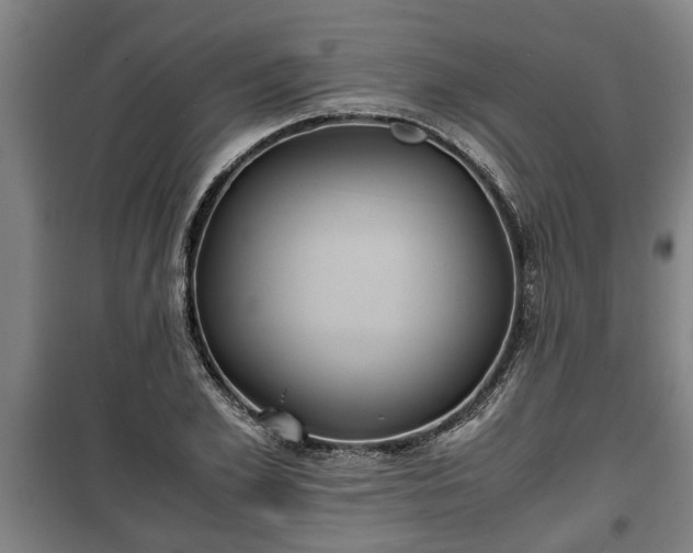 X0000100190981200806061254