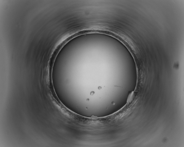 X0000100190982200806061254