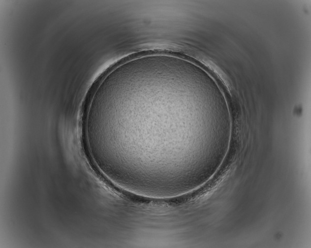 X0000100190983200806061254