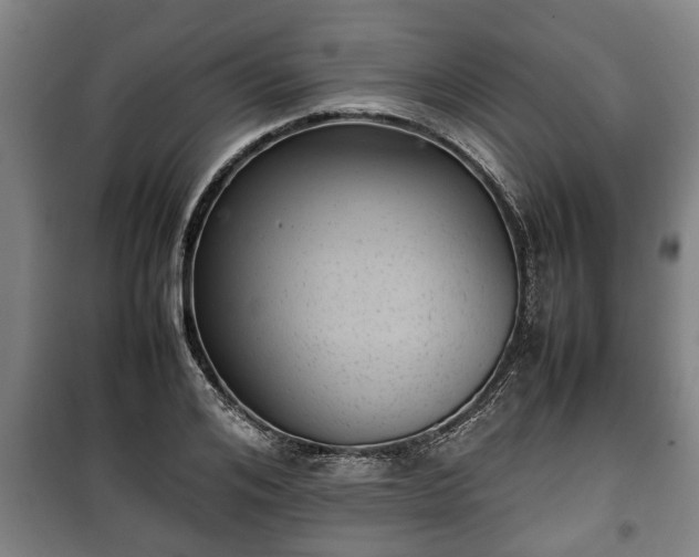 X0000100190984200806061254