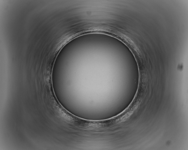 X0000100190985200806061254