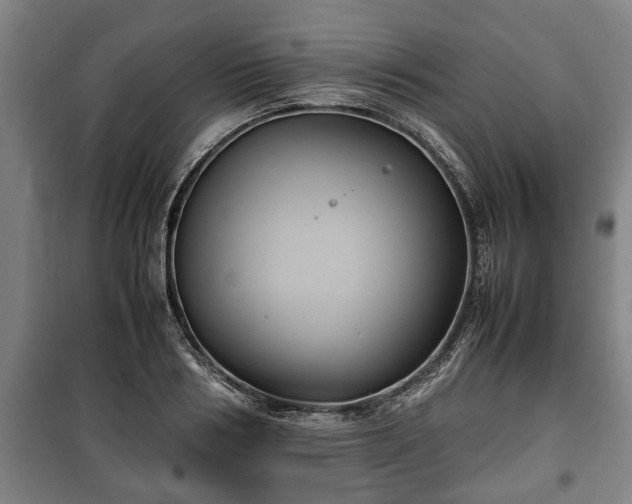 X0000100190986200806061254