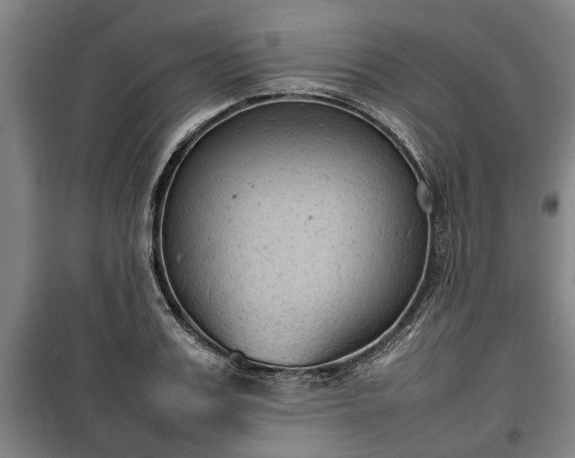 X0000100190987200806061254