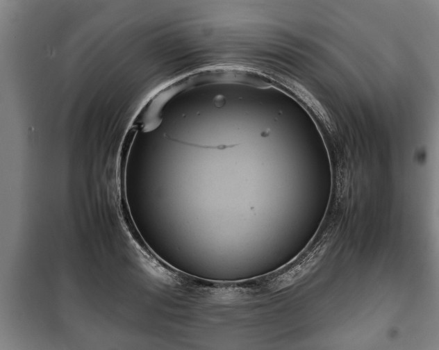 X0000100190988200806061254