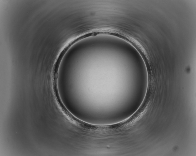 X0000100190989200806061254