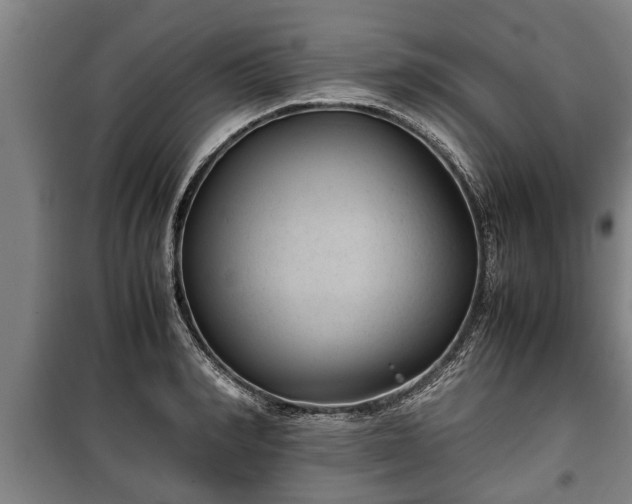 X0000100190990200806061254