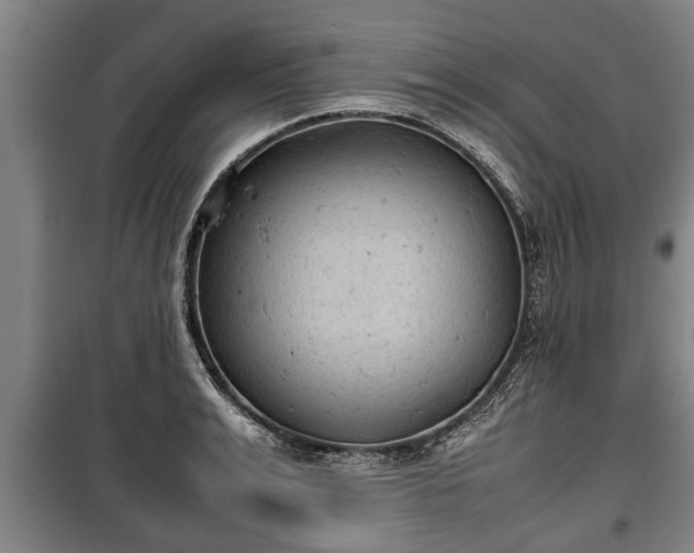 X0000100190991200806061254