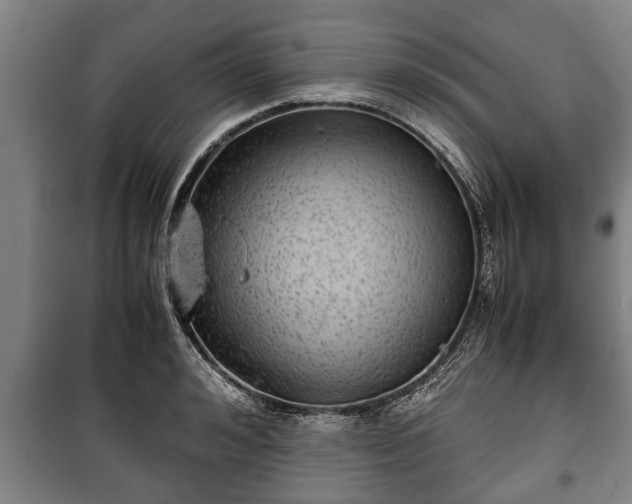 X0000100190992200806061254