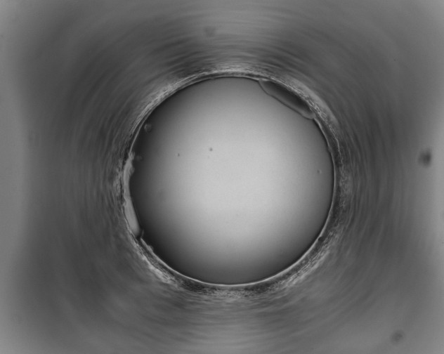 X0000100190993200806061254