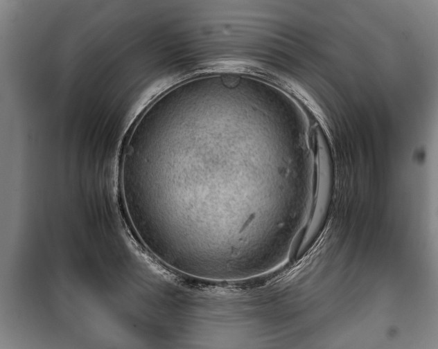 X0000100190994200806061254