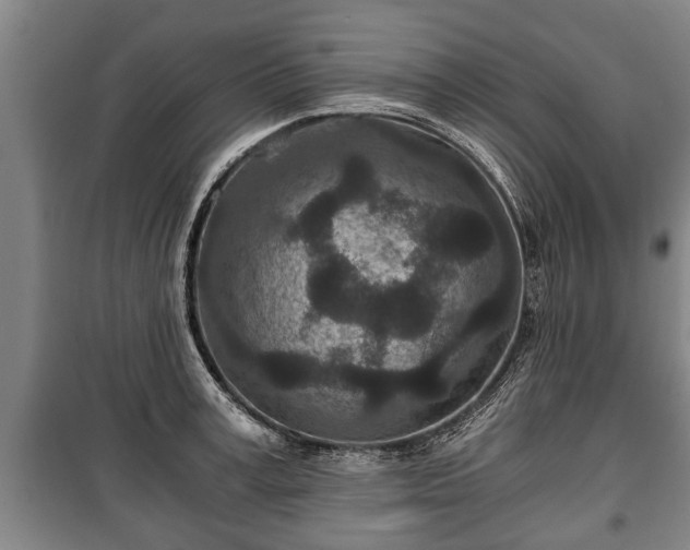 X0000100190995200806061254