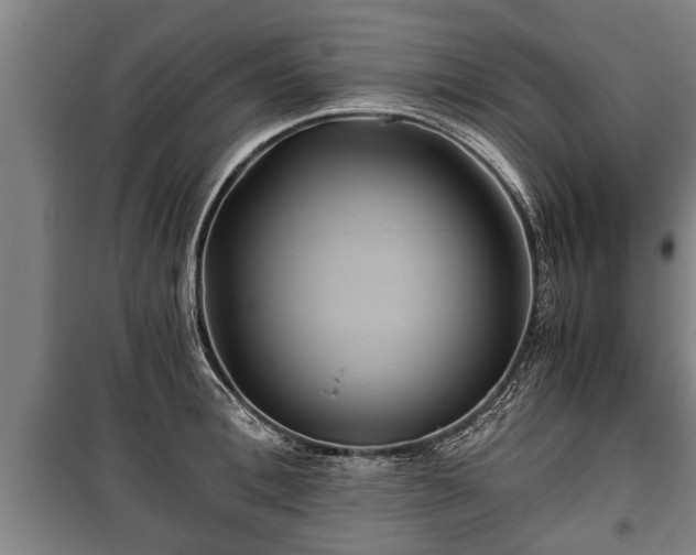 X0000100190996200806061254