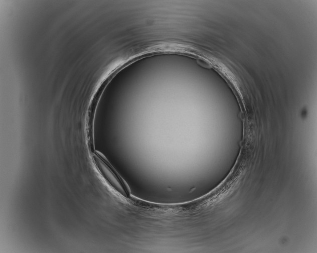 X0000100190997200806061254