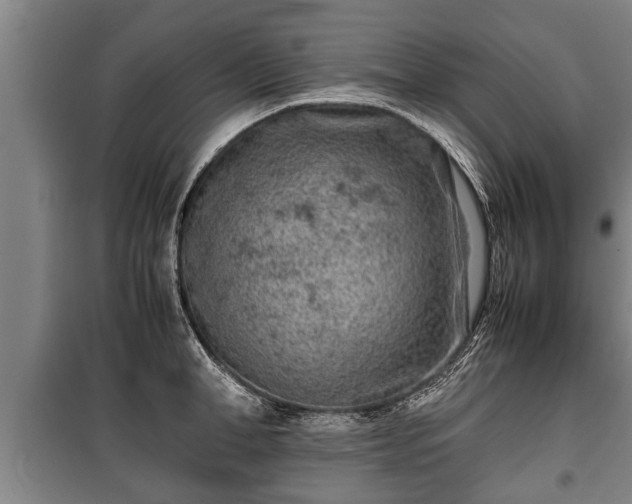 X0000100190998200806061254