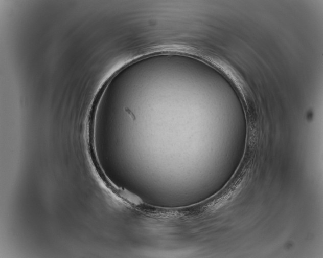 X0000100190999200806061254