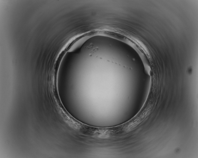 X0000100191000200806061254