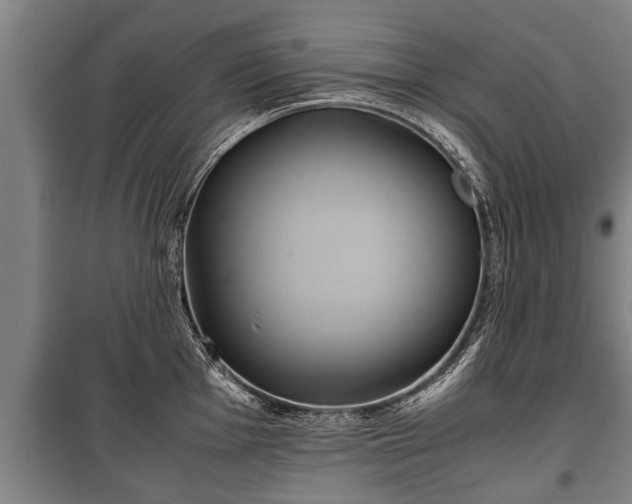 X0000100191001200806061254