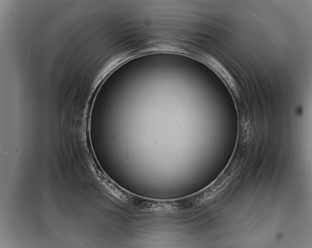 X0000100191002200806061254