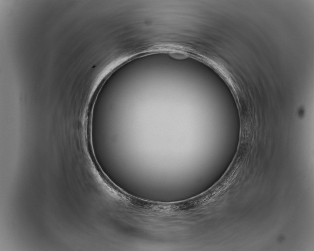 X0000100191003200806061254