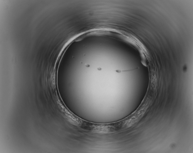 X0000100191004200806061254