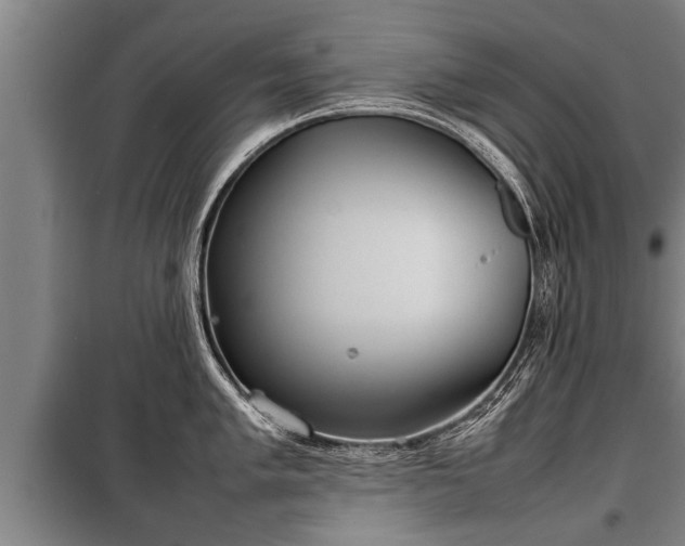 X0000100191005200806061254