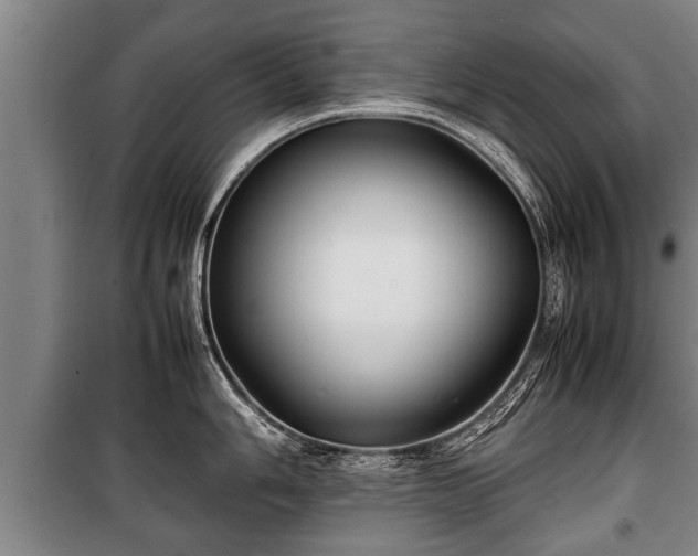 X0000100191006200806061254