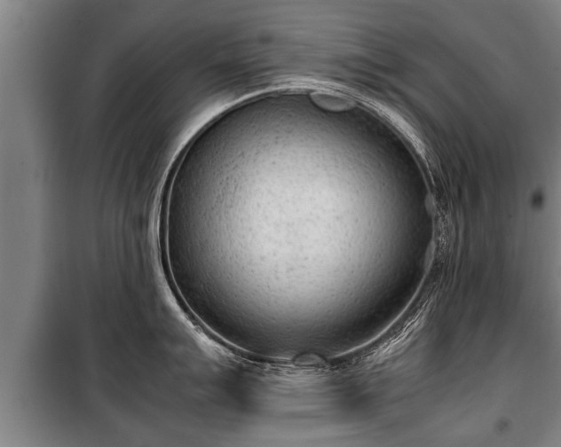 X0000100191007200806061254