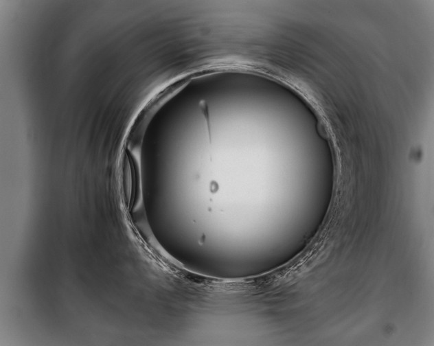 X0000100191008200806061254