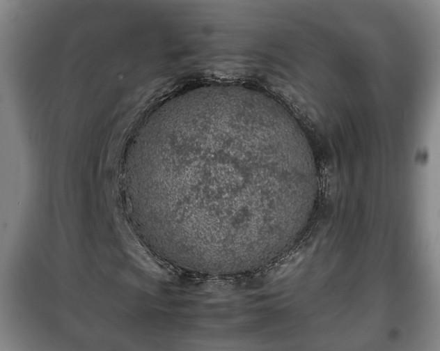 X0000100191009200806061253