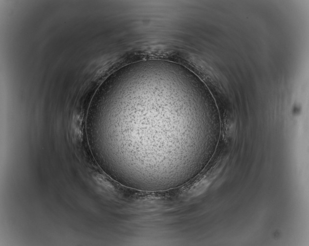 X0000100191010200806061253