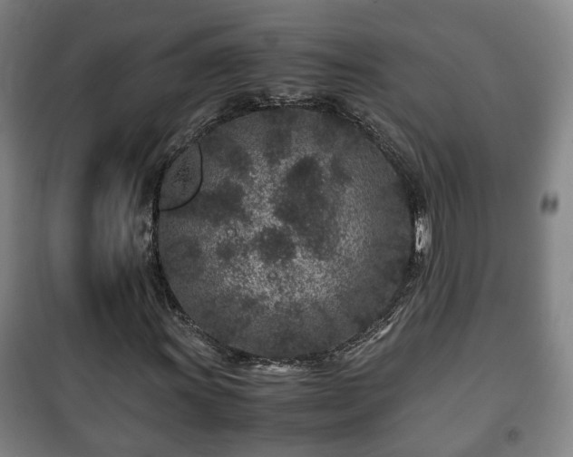 X0000100191011200806061253