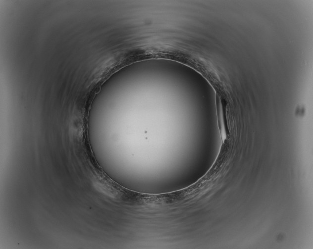 X0000100191012200806061253