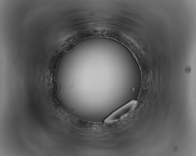 X0000100191013200806061253