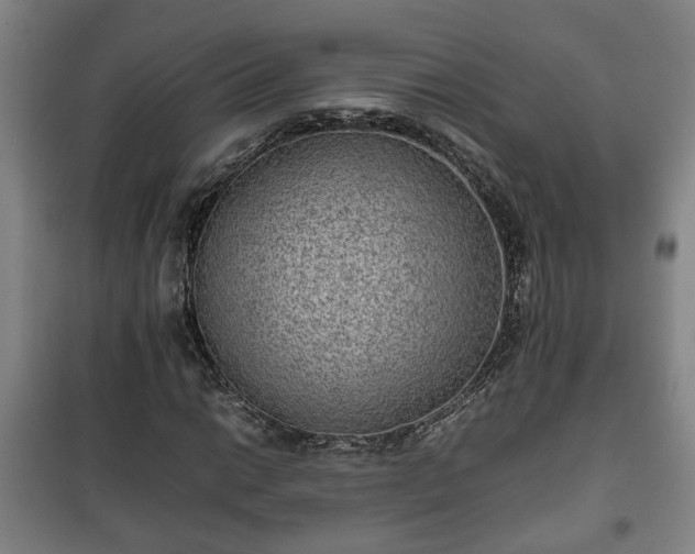 X0000100191014200806061253