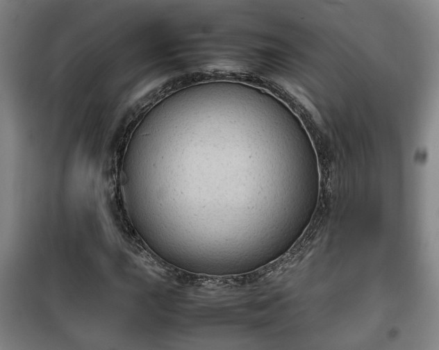 X0000100191015200806061253