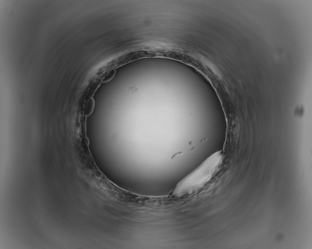 X0000100191016200806061253