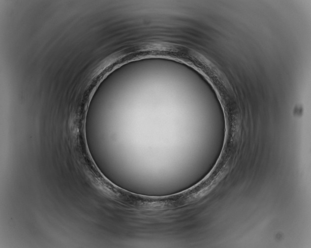 X0000100191017200806061253