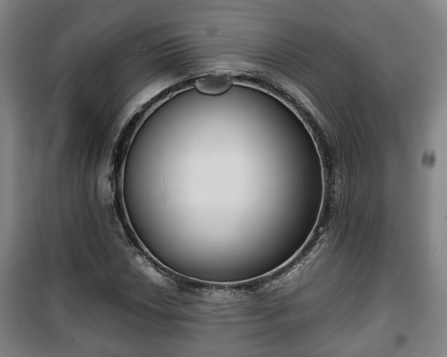 X0000100191018200806061253