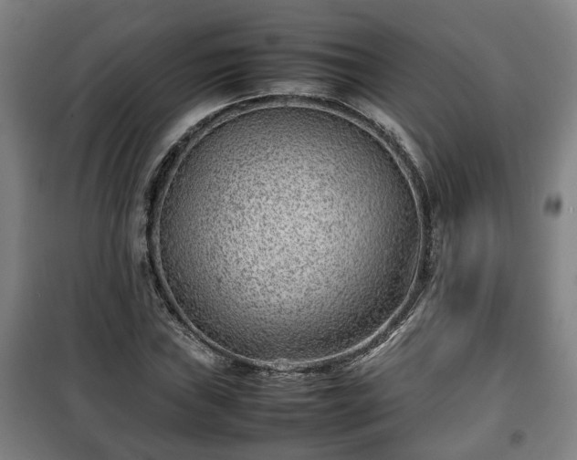 X0000100191019200806061253