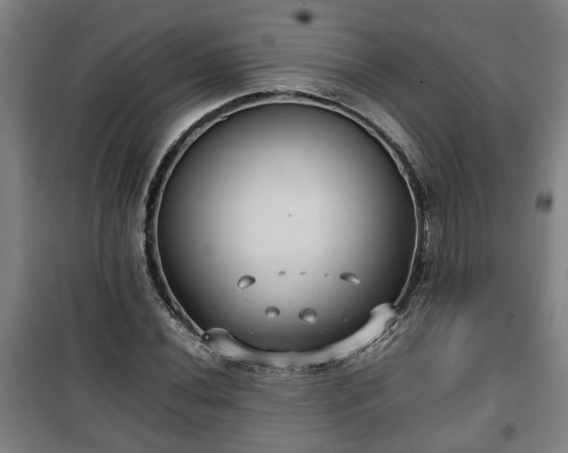 X0000100191020200806061253