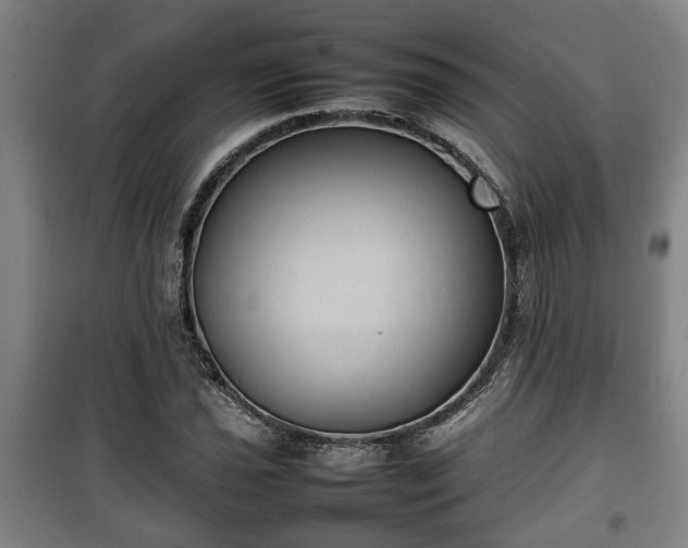 X0000100191021200806061253