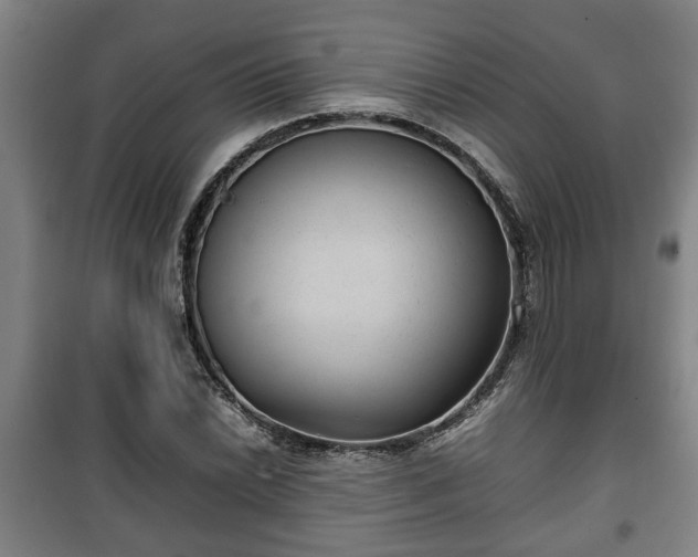 X0000100191022200806061253