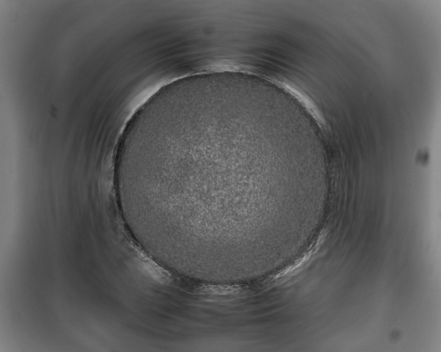 X0000100191023200806061253