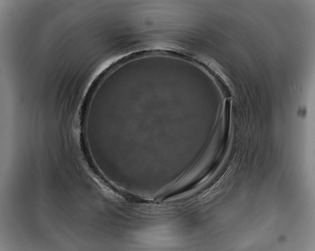 X0000100191024200806061253