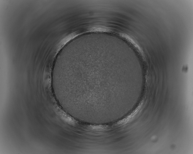 X0000100191025200806061253