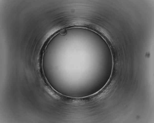 X0000100191026200806061253