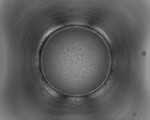 X0000100191027200806061253