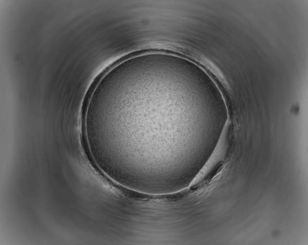 X0000100191028200806061253